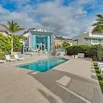 Miami أذيخي